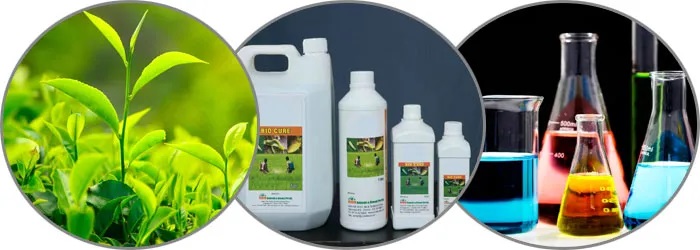 Agro Chemical Industries
